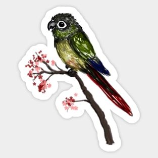 Cute green cheeked conure Sticker